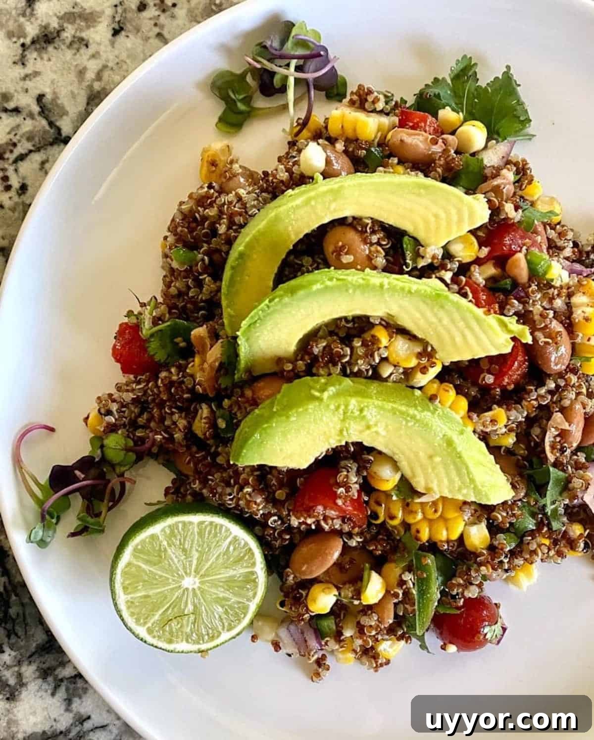 Mexican quinoa salad recipe served on a plate garnished with avocado.