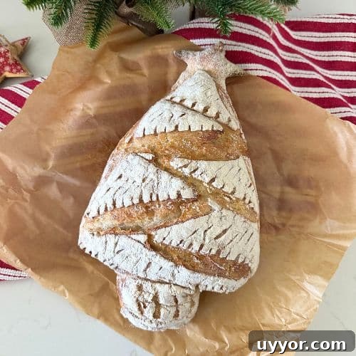 SOURDOUGH CHRISTMAS TREE BREAD - RECIPE FEATURE IMAGE