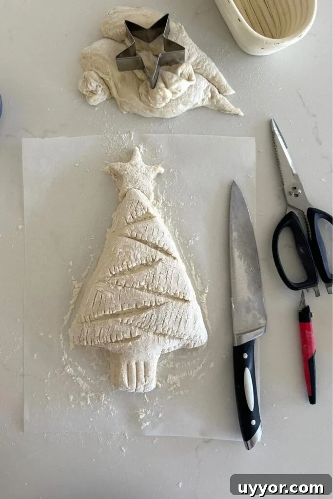 A photo of a Christmas Tree Sourdough Bread that has been scored and is about to be placed into the oven. You can also see the tools which were used to create the loaf in the photo.