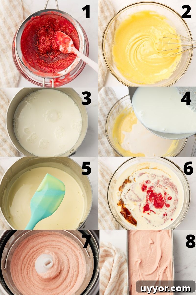 a collage of 8 images showing step by step instructions for making ice cream with raspberries
