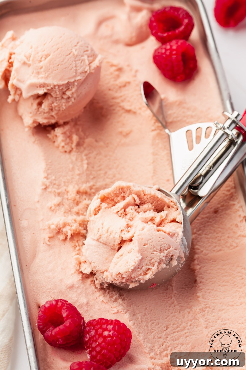a metal bread pan filled with homemade raspberry ice cream, garnished with fresh berries.