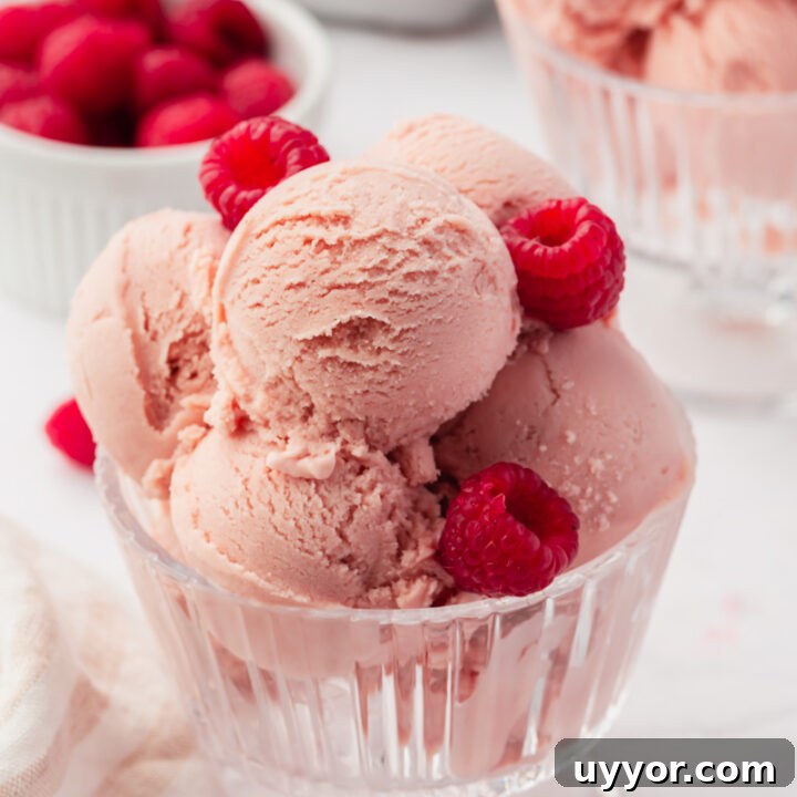 a glass footed dish filled with 5 scoops of homemade raspberry ice cream, garnished with fresh berries.