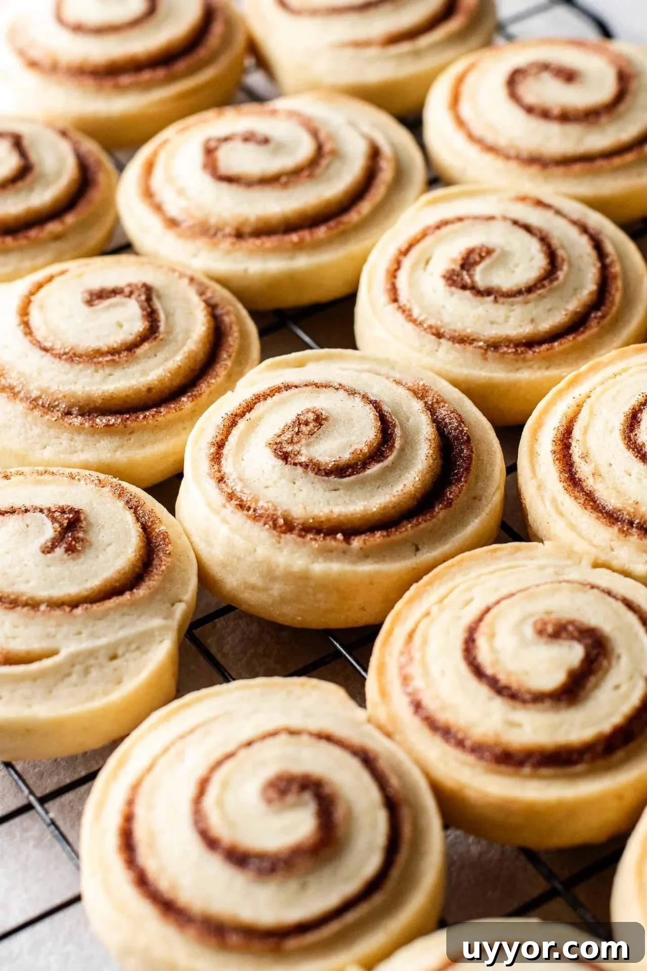 Cinnamon Roll Cookie Recipe: Soft Swirls with Cream Cheese Glaze 10 baked cinnamon roll cookies on wire rack