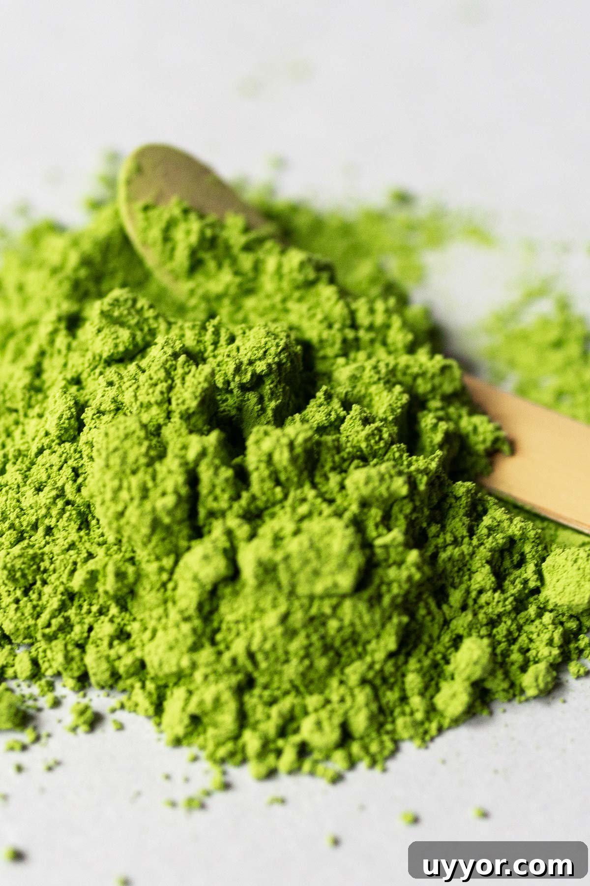 How to Prepare Matcha: Traditional Steps for Smooth, Frothy Tea 11 Matcha powder with a matcha scoop.