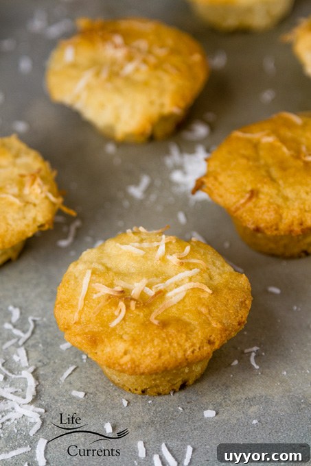 Gluten-Free Coconut Muffins are so good. Filled with coconut flavor; these little muffins of goodness are a coconut lovers dream!