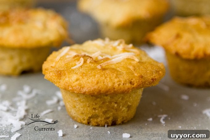a mini muffin topped with coconut shreds on a grey background.