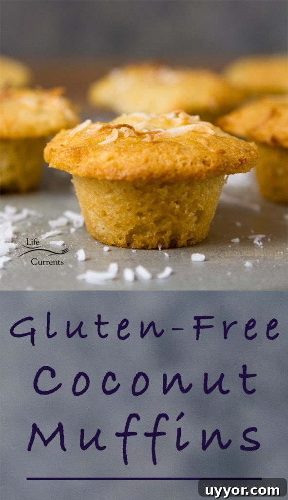 a mini muffin on a gray background with coconut shreds around it.