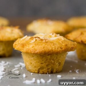 Gluten-Free Coconut Muffins are so good. Filled with coconut flavor. These little muffins of goodness are a coconut lovers dream!