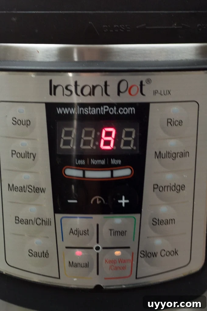 Instant Pot Ground Lamb Soup — Gluten-Free Recipe 5 A timer set to 8 minutes on an Instant Pot.