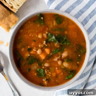 Instant Pot Ground Lamb Soup — Gluten-Free Recipe 10 bowl of instant pot ground lamb stew on a white background with a blue striped towel, silver spoon, and focaccia bread