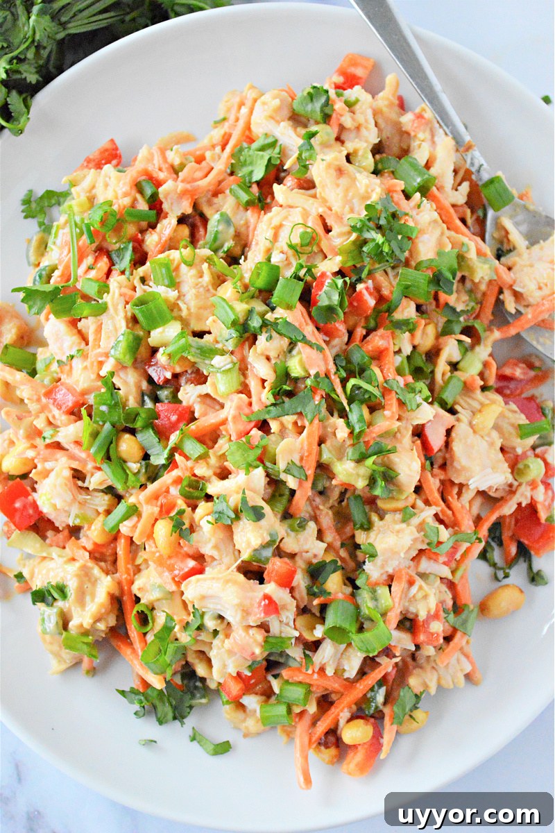 Spicy Thai Chicken Salad with Crunchy Vegetables and Lime Dressing 2 Thai Chicken Salad