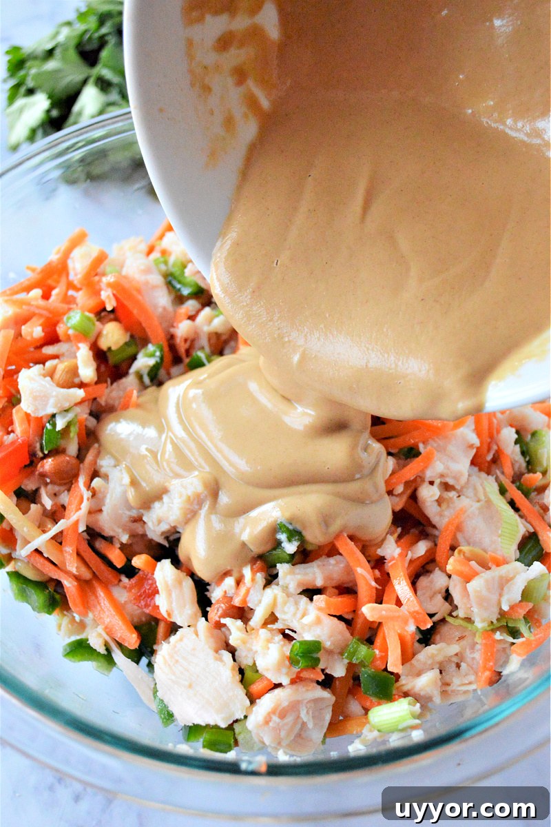 Spicy Thai Chicken Salad with Crunchy Vegetables and Lime Dressing 11 Thai Chicken Salad