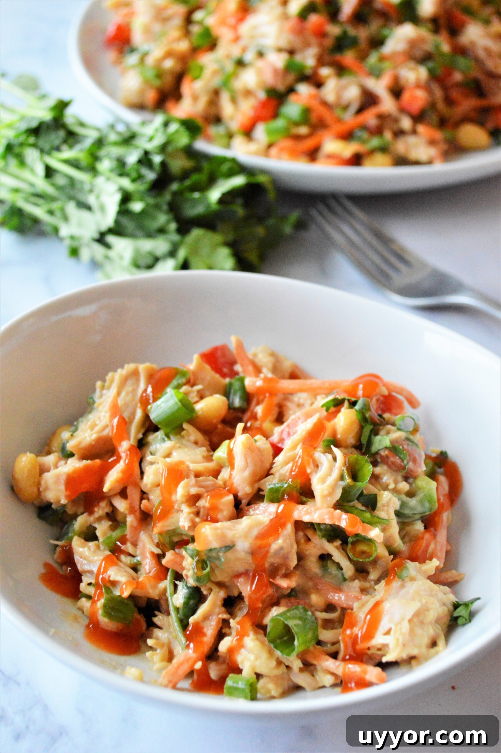 Spicy Thai Chicken Salad with Crunchy Vegetables and Lime Dressing 12 Thai Chicken Salad