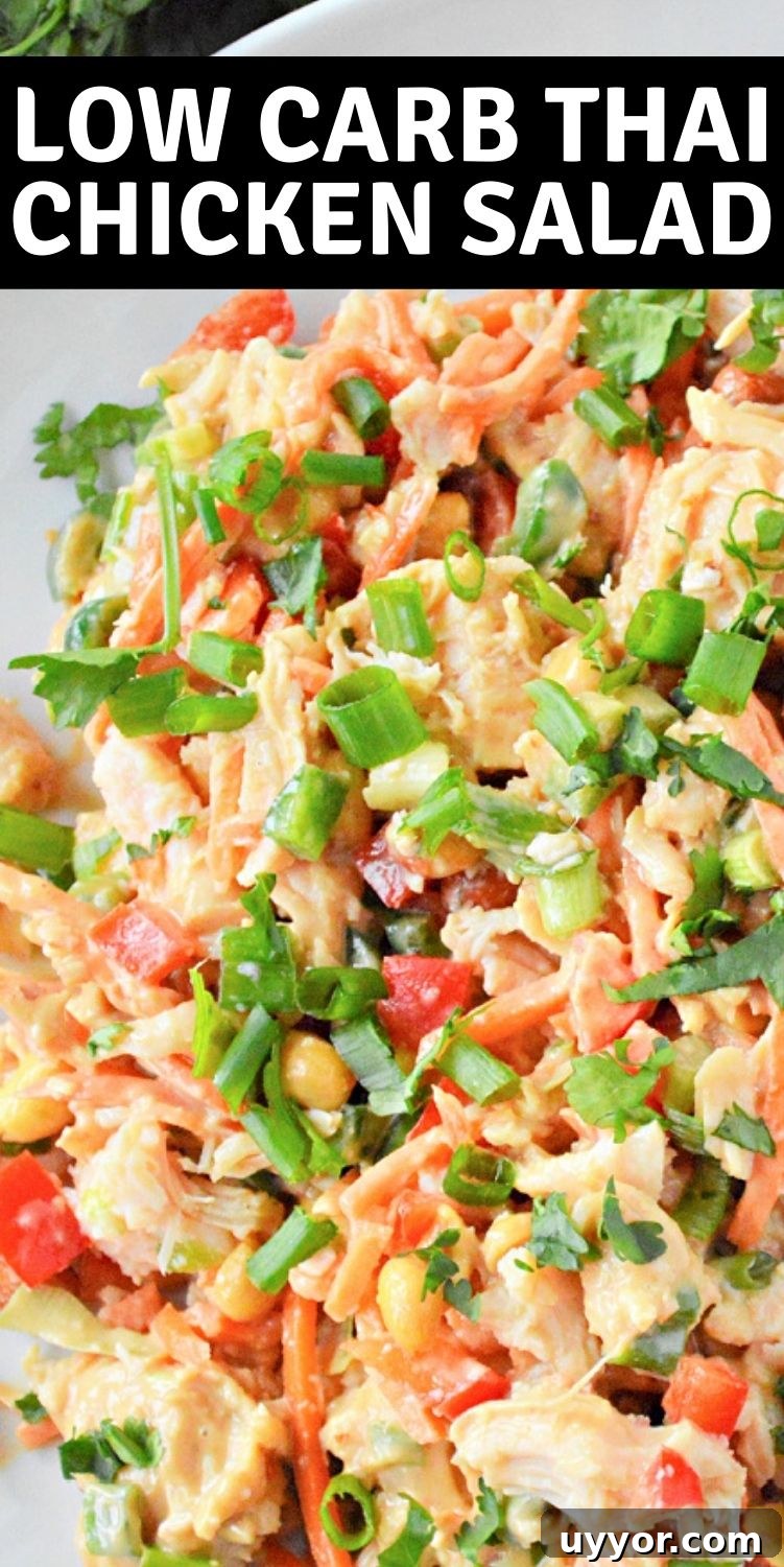 Spicy Thai Chicken Salad with Crunchy Vegetables and Lime Dressing 13 Thai Chicken Salad