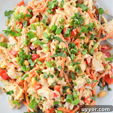 Spicy Thai Chicken Salad with Crunchy Vegetables and Lime Dressing 14 Thai Chicken Salad