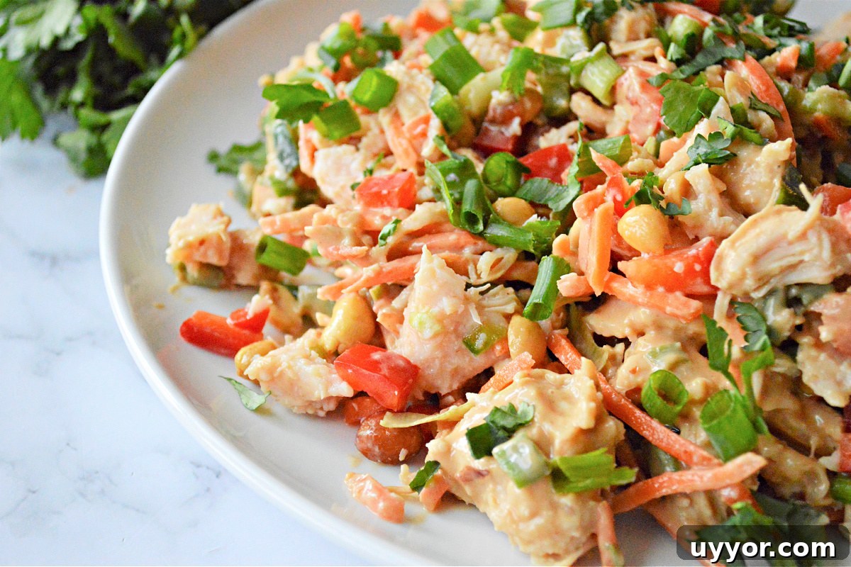 Spicy Thai Chicken Salad with Crunchy Vegetables and Lime Dressing 3 Thai Chicken Salad