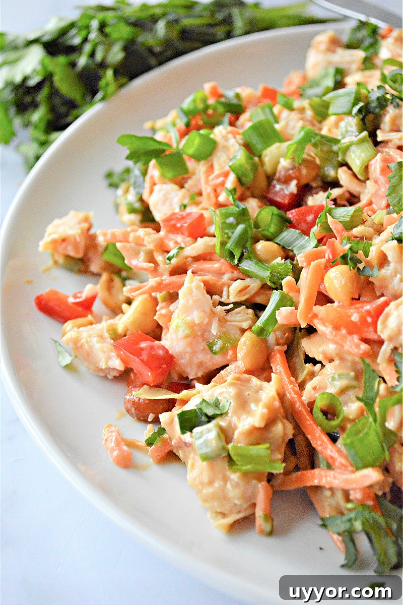 Spicy Thai Chicken Salad with Crunchy Vegetables and Lime Dressing 4 Thai Chicken Salad