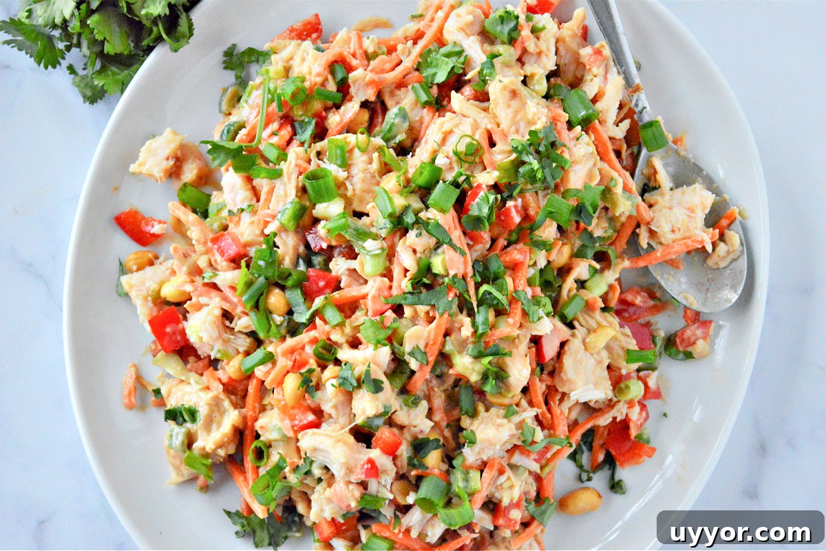 Spicy Thai Chicken Salad with Crunchy Vegetables and Lime Dressing 5 Thai Chicken Salad