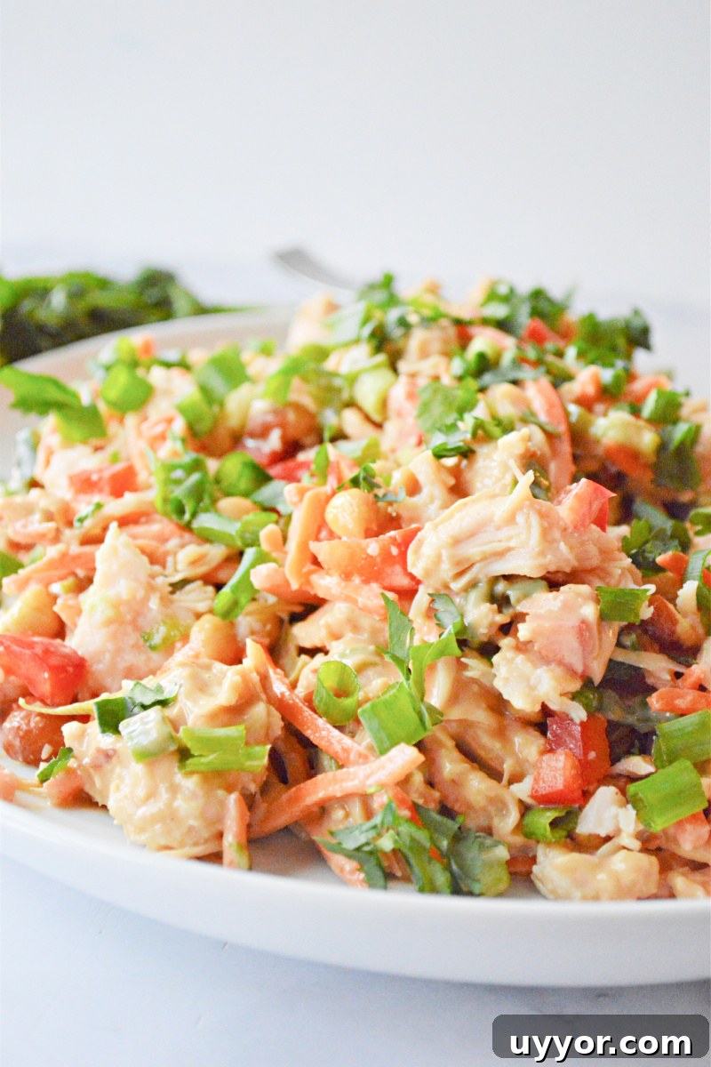 Spicy Thai Chicken Salad with Crunchy Vegetables and Lime Dressing 6 Thai Chicken Salad
