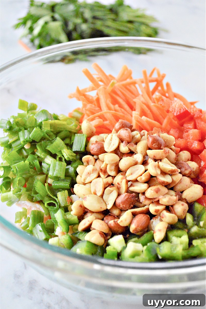 Spicy Thai Chicken Salad with Crunchy Vegetables and Lime Dressing 9 Thai Chicken Salad