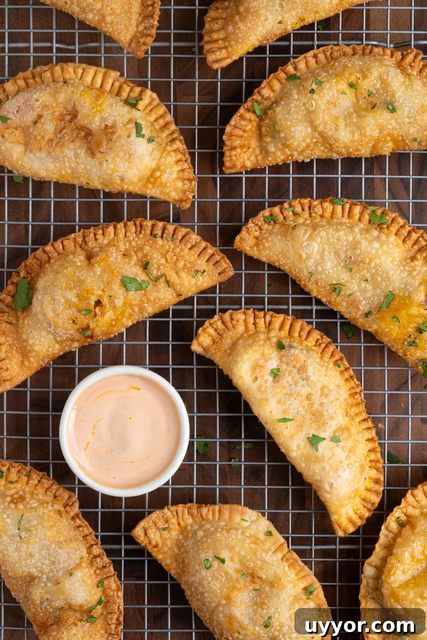 Cheesy Chicken Empanadas with Homemade Savory Filling 8 A tray of chicken empanadas.