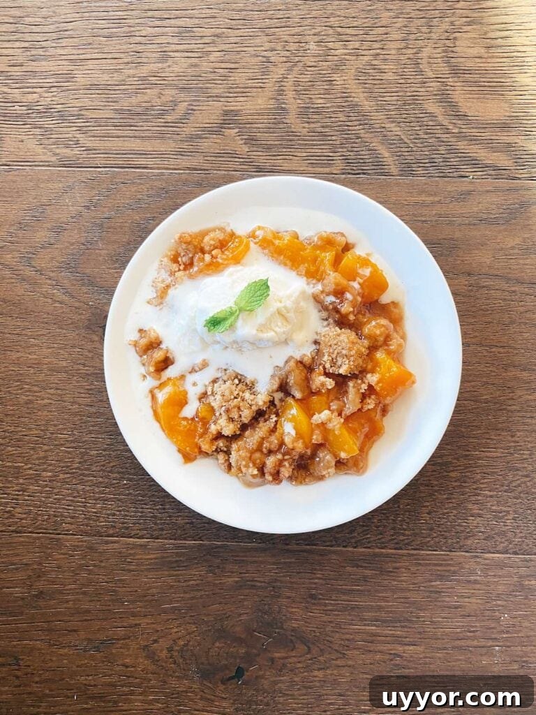 final recipe served on a plate with ice cream