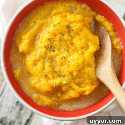 Slow Cooker Easy Butternut Squash