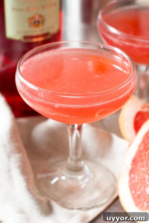 Siesta Cocktail | cakenknife.com