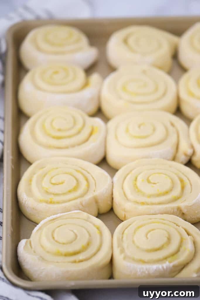 Zesty Lemon Sweet Rolls Recipe for Soft, Glazed Buns 2 A baking pan with lemon sweet rolls ready to bake in the oven.