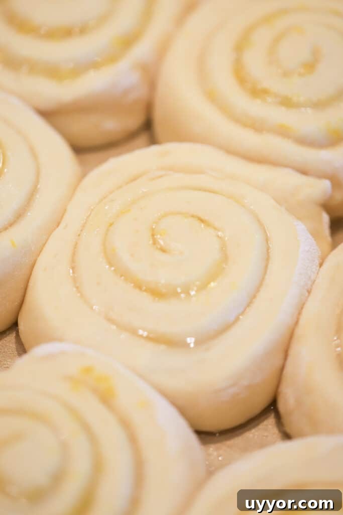 Zesty Lemon Sweet Rolls Recipe for Soft, Glazed Buns 4 A close up picture of lemon sweet rolls that have risen and are ready to bake.