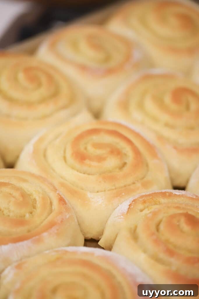 Zesty Lemon Sweet Rolls Recipe for Soft, Glazed Buns 5 A pan of sweet rolls that has just been baked but has not yet been covered in frosting.