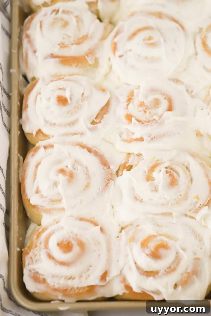 Zesty Lemon Sweet Rolls Recipe for Soft, Glazed Buns 6 lemon sweet rolls in a baking sheet covered in lemon buttercream frosting.
