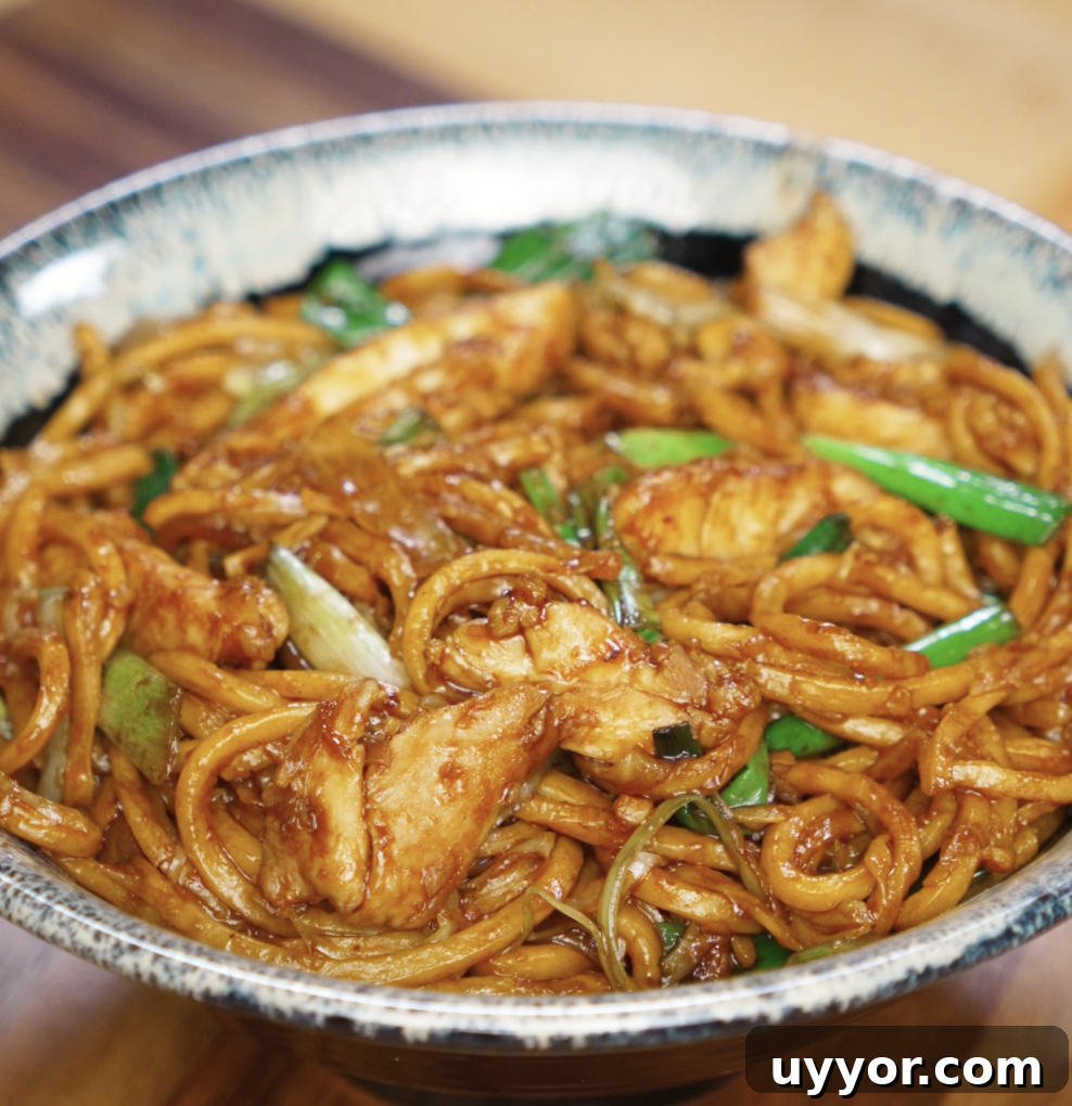 Crispy Pan-Fried Chicken Noodles with Soy-Garlic Sauce 2 A bowl is filled with chicken pan fried noodles, coated in a dark glossy sauce and mixed with scallions, onions, and cabbage. This comforting stir-fry is ready to serve.