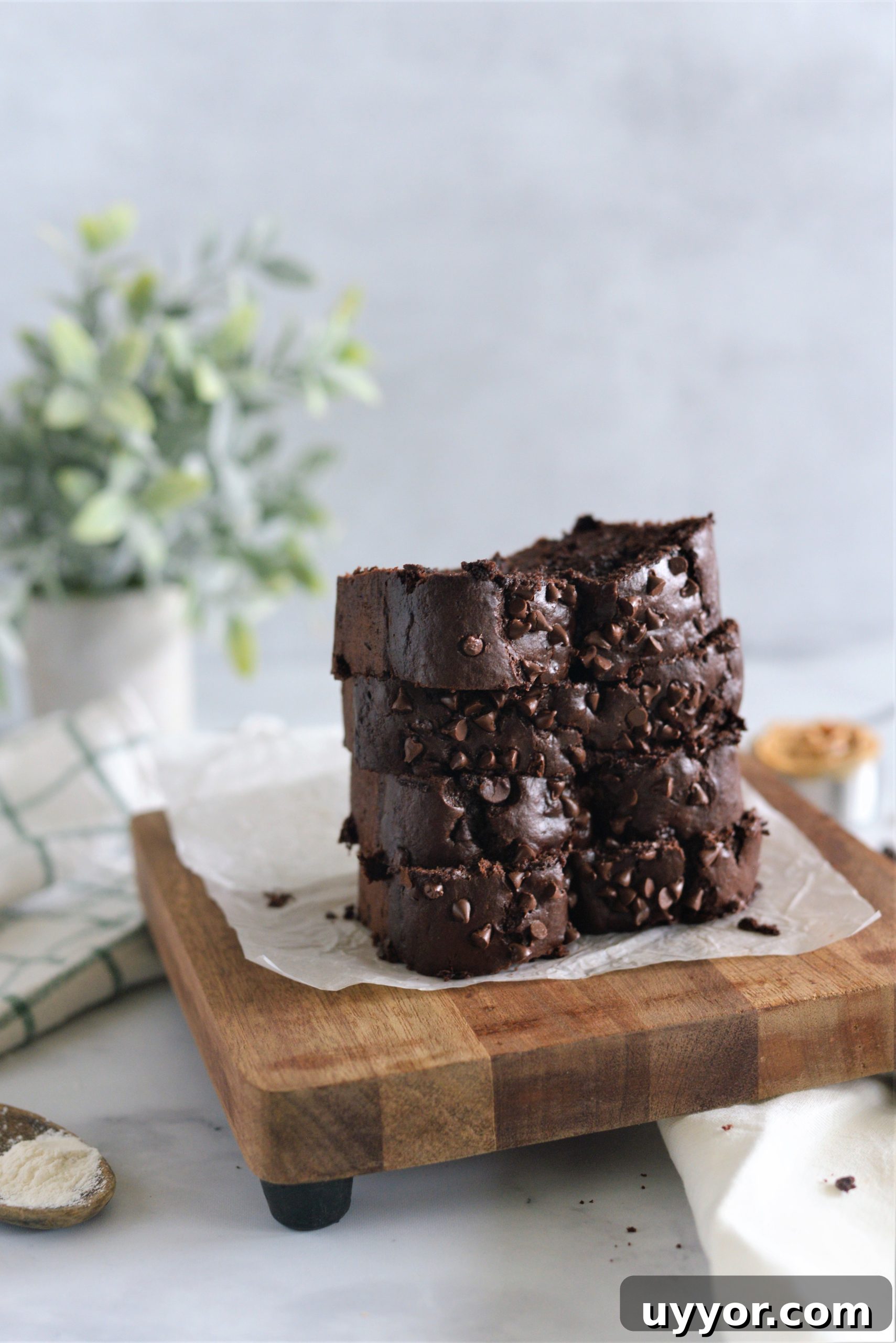 Chocolate Peanut Butter Banana Bread with Melted Chocolate Swirls 3 img 249 2 scaled