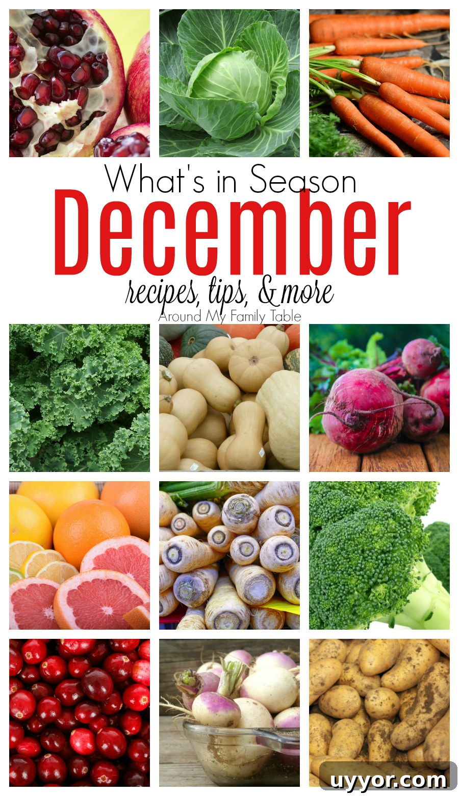 What’s in Season in December: Fresh Produce & Holiday Picks 2 It's time for cranberries & winter squash! This December Seasonal Produce guide has recipes, tips, and more for everything in season this month.