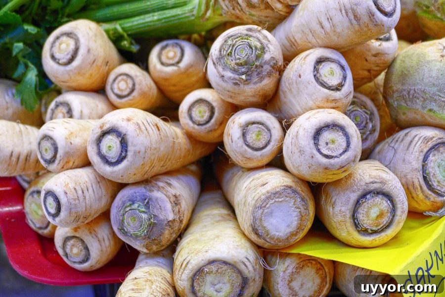 What’s in Season in December: Fresh Produce & Holiday Picks 11 What's in Season Guide: Parsnips