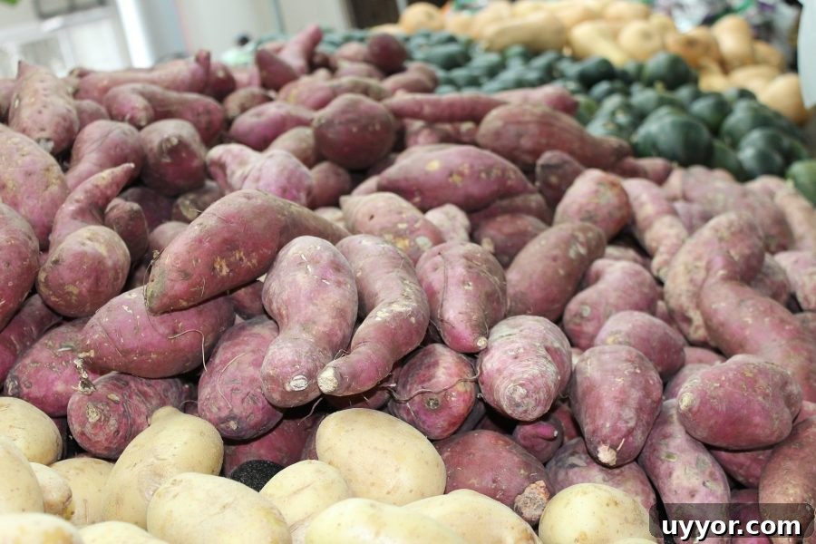 What’s in Season in December: Fresh Produce & Holiday Picks 15 What's in Season Guide: Sweet Potatoes