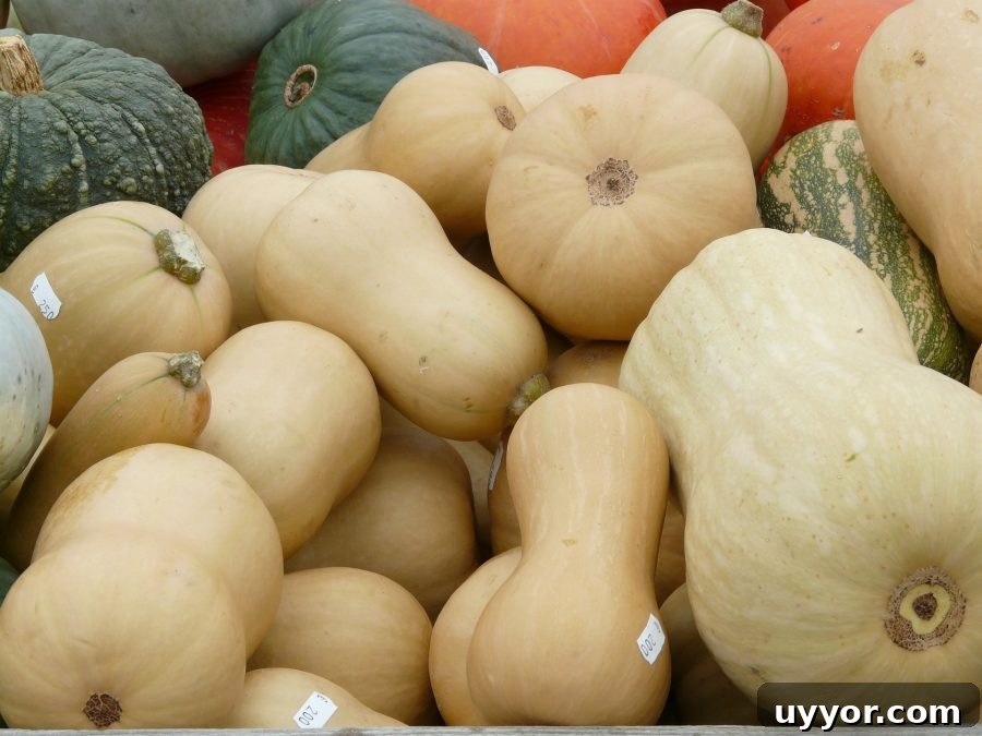 What’s in Season in December: Fresh Produce & Holiday Picks 17 What's in Season Guide: Winter Squash