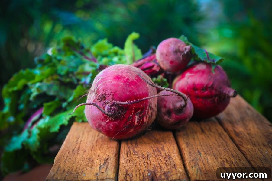 What’s in Season in December: Fresh Produce & Holiday Picks 3 What's in Season Guide: Beets