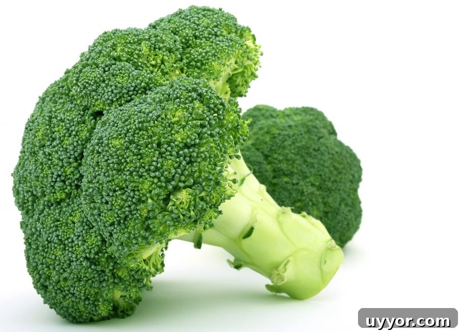 What’s in Season in December: Fresh Produce & Holiday Picks 4 What's in Season Guide: Broccoli