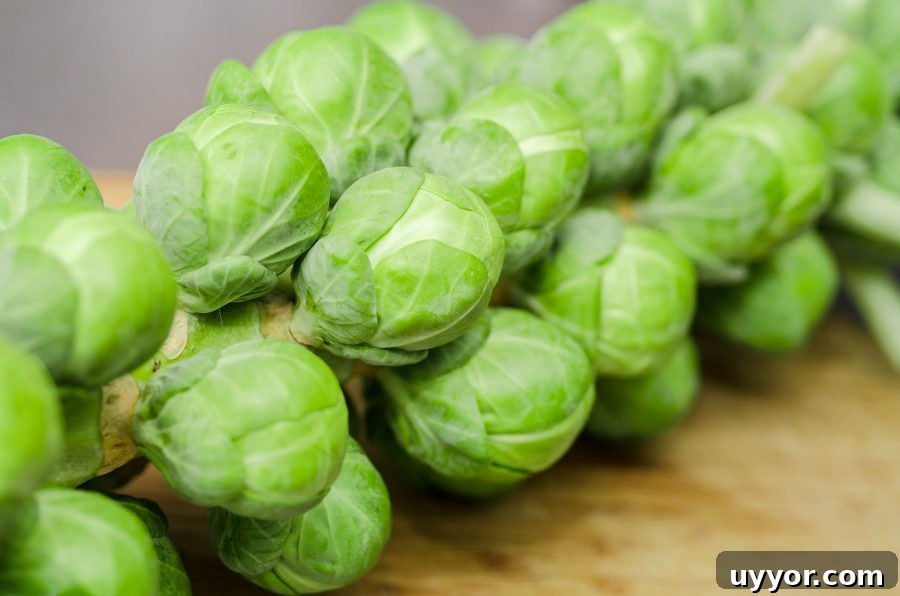 What’s in Season in December: Fresh Produce & Holiday Picks 5 What's in Season Guide: Brussels Sprouts