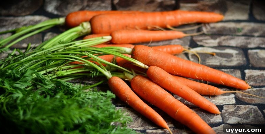 What’s in Season in December: Fresh Produce & Holiday Picks 7 What's in Season Guide: Carrots
