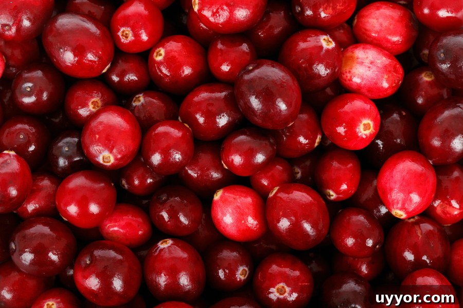 What’s in Season in December: Fresh Produce & Holiday Picks 9 What's In Season -- Cranberries