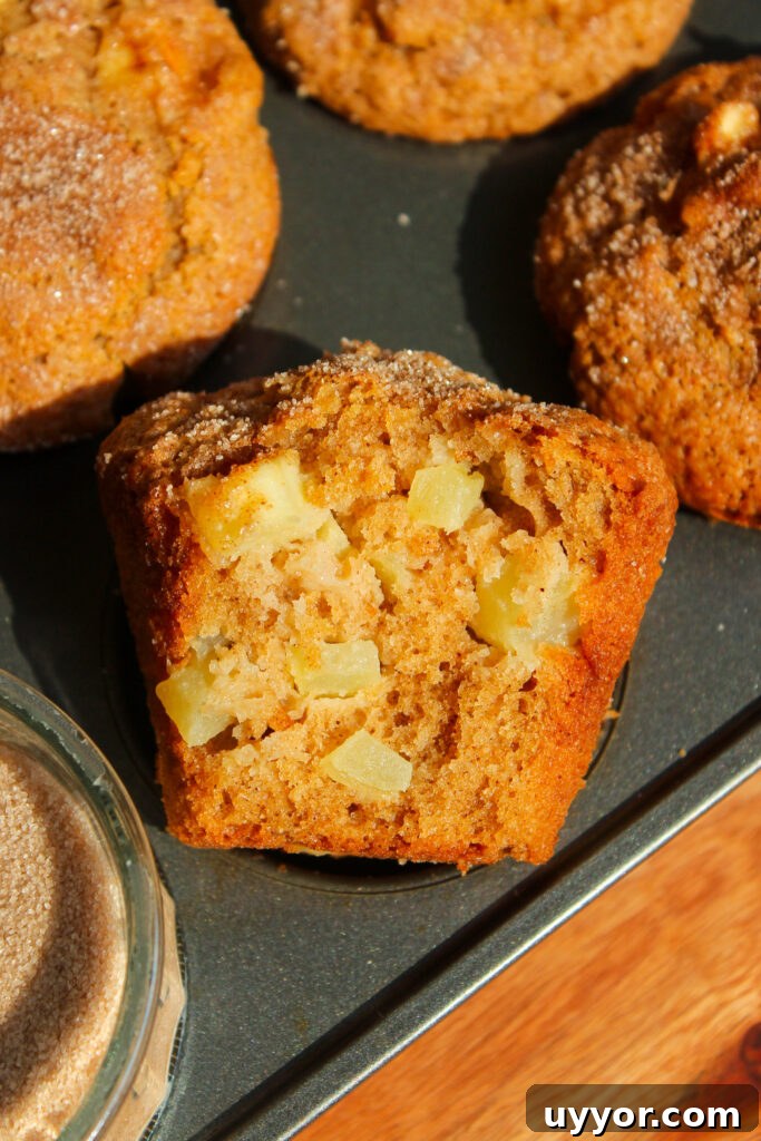Homestyle Apple Cinnamon Muffins with Crunchy Streusel 2 Apple Cinnamon Muffins