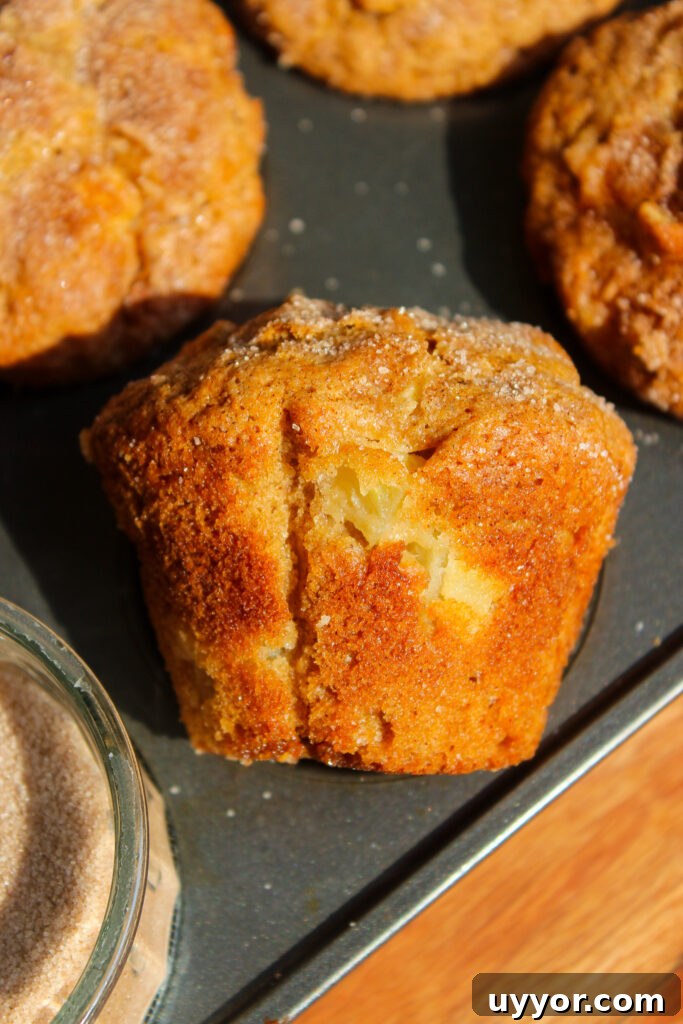 Homestyle Apple Cinnamon Muffins with Crunchy Streusel 4 Baked apple cinnamon muffins