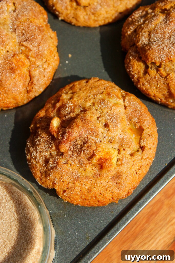 Homestyle Apple Cinnamon Muffins with Crunchy Streusel 5 Muffin cross-section showing apples