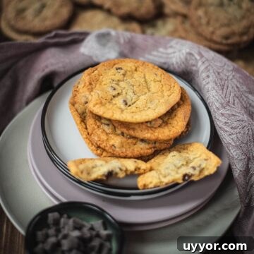 Rum-Infused Chocolate Chip Cookies: Chewy & Boozy Recipe 12 Delicious rum chocolate chip cookies placed on different colored and sized plates.