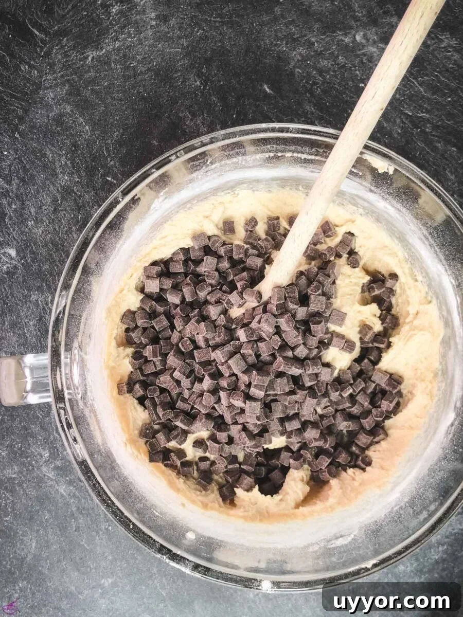 Rum-Infused Chocolate Chip Cookies: Chewy & Boozy Recipe 6 Add the chocolate chunks / chips to the dough.