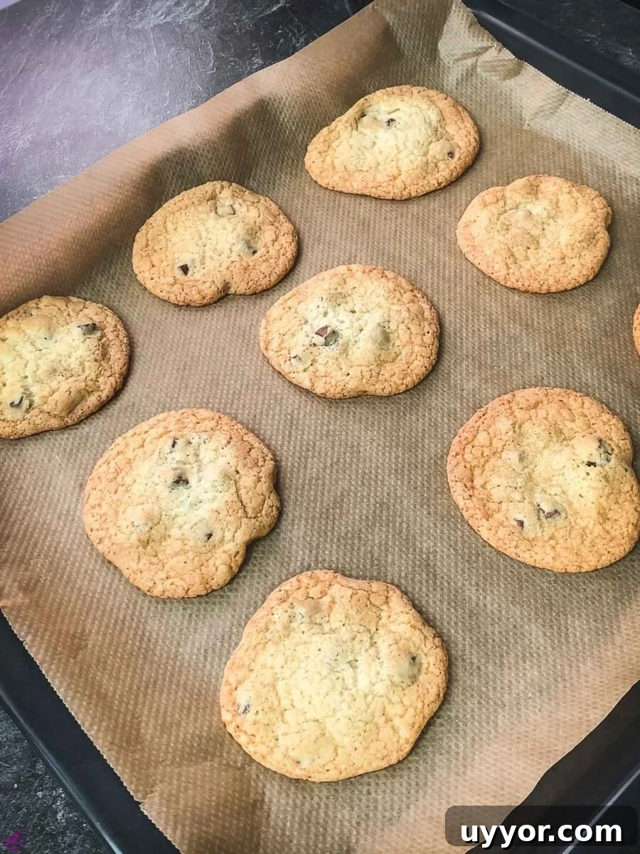 Rum-Infused Chocolate Chip Cookies: Chewy & Boozy Recipe 9 Freshly baked rum chocolate chips.