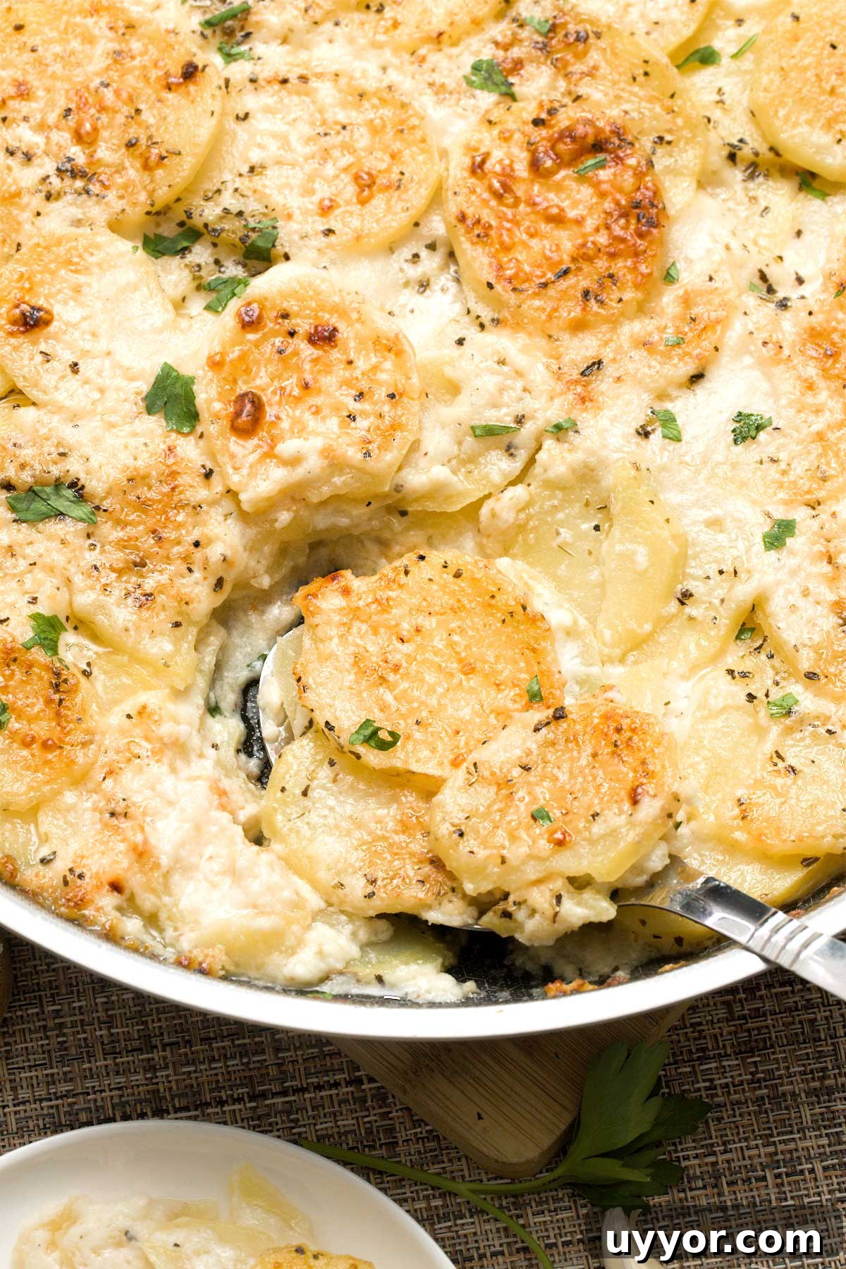 A close-up of a spoonful of au gratin potatoes in a Hexclad hybrid skillet.